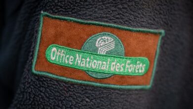 Sospechoso de estar en el origen del incendio, un agente de la ONF acusado Sospechoso de estar en el origen del incendio, un agente de la ONF acusado